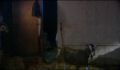 dr dolittle 3-avi_828.jpg